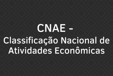 CONSULTA CNAE